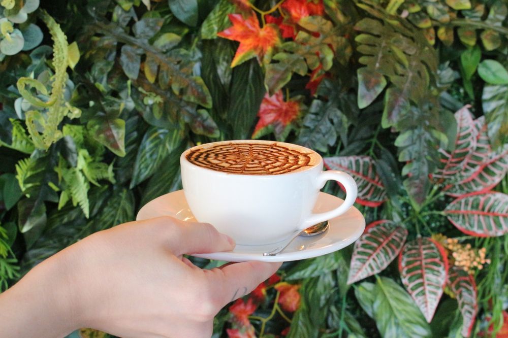 Vanilya Pasta Cafe'de bitki duvarı önünde sıcak cappuccino
